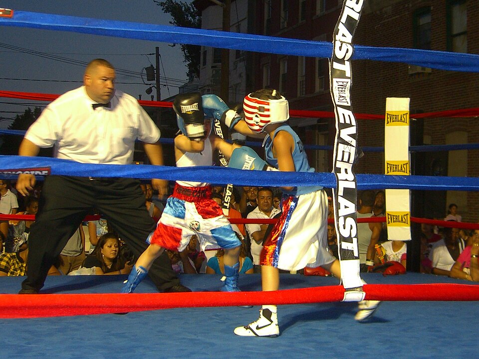 Boxing IPTV 2026 – Watch Every World Title Fight Live