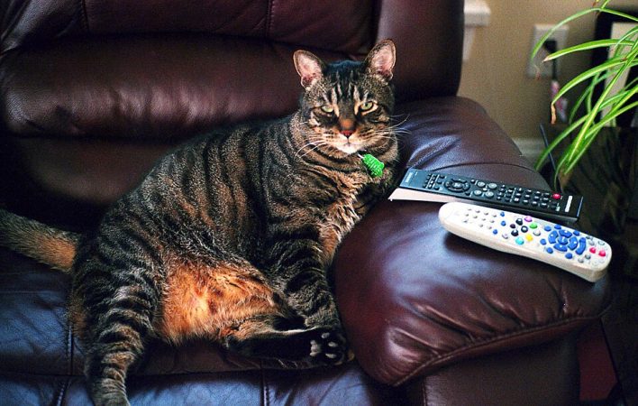 Abonnement IPTV Premium 2026 - Meilleur Service | LoadIPTV